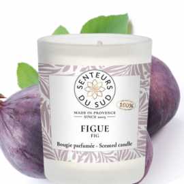Fig tree scent candle 75g
