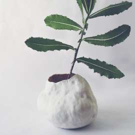 Samen, Vase oder Topf für Pflanze