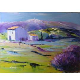 Lavenders near Mont-Ventoux